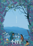 剑仙风云新手指南：快速上手与升级技巧